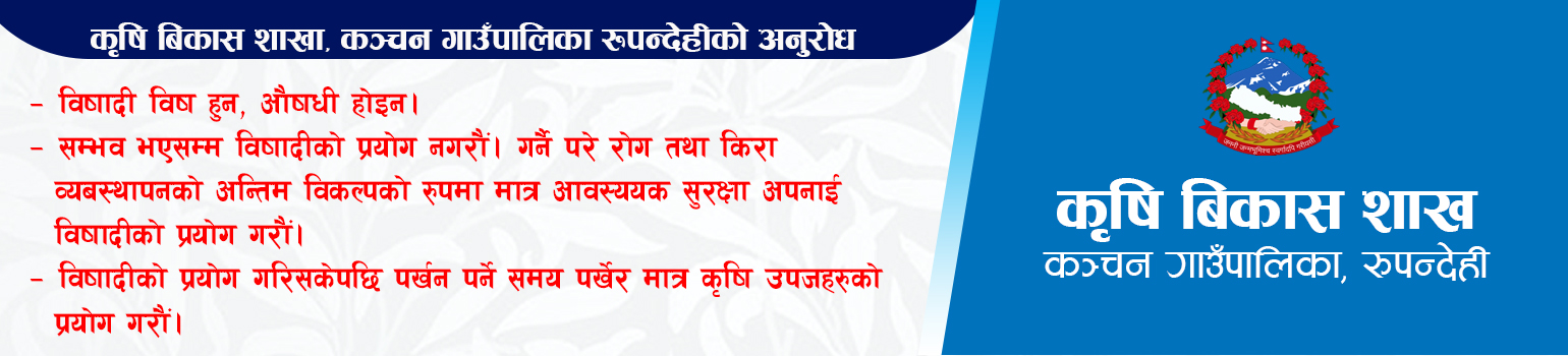 कृषि बिकास शाखा कञ्चन गाउँपालिकाको अनुरोध