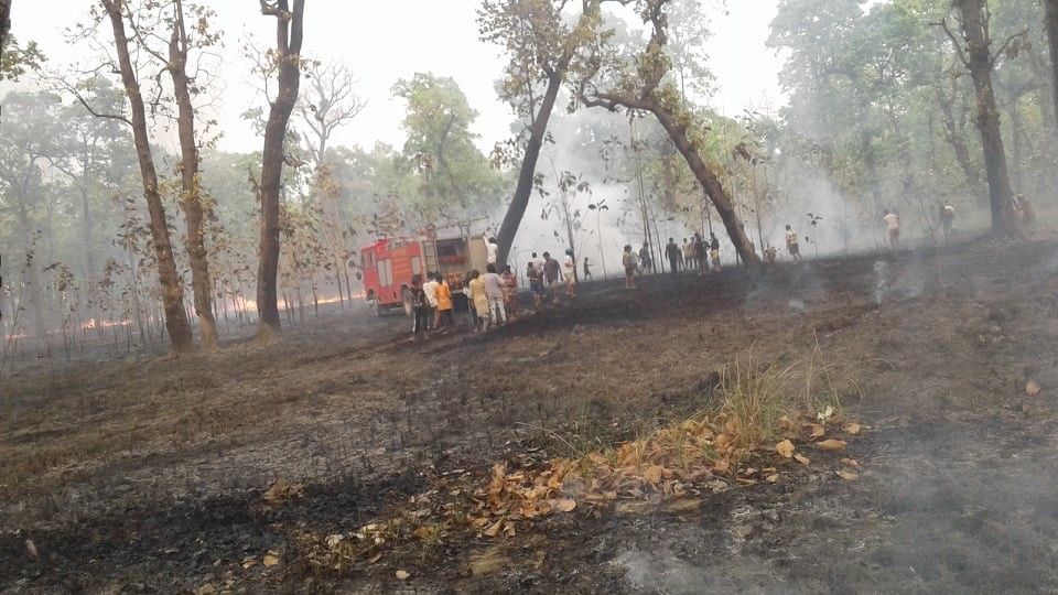 धमिनाताल सामुदायिक बन उपभोक्ता समूहको ब्लक नं. २ मा भिषण आगलागी