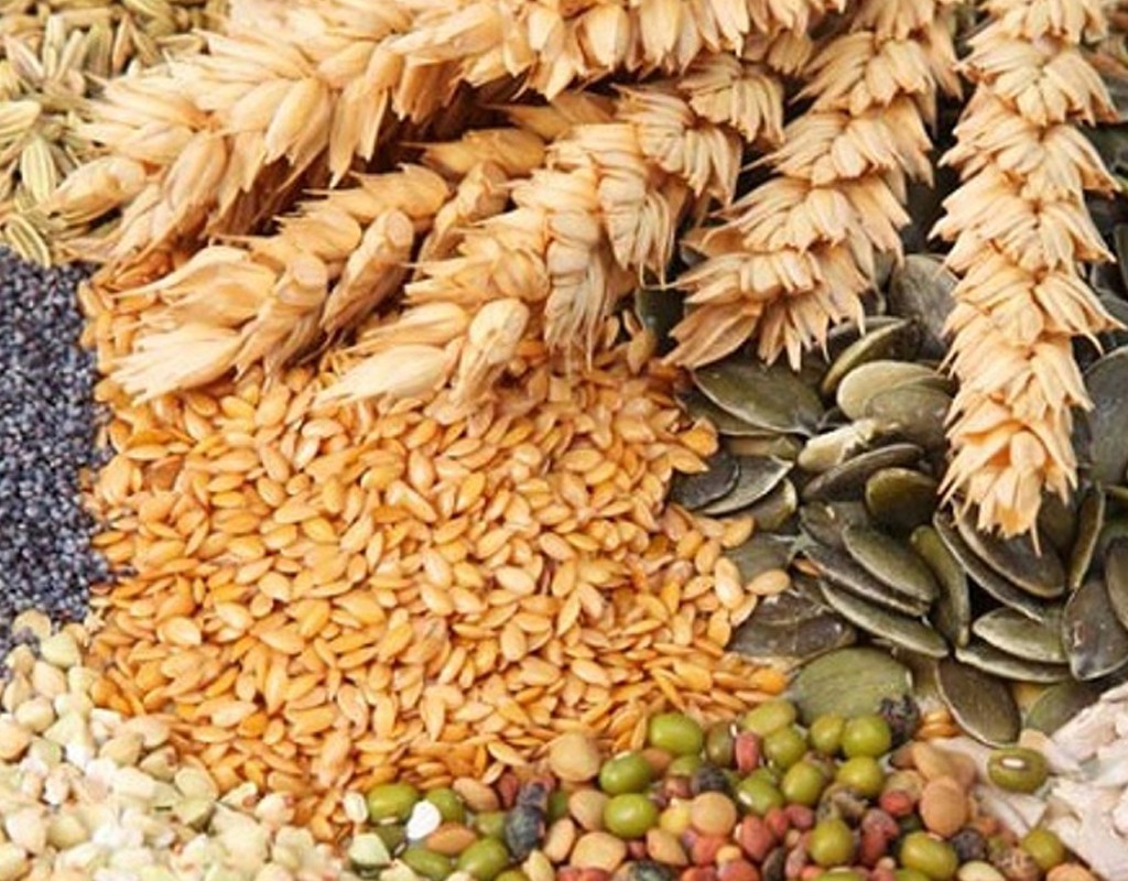 विश्व खाद्यान्नको मूल्य एक दशकयताकै उच्च