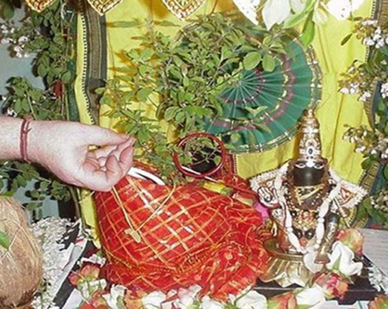 आज हरिबोधिनी एकादशी : तुलसीको विवाह गरी मनाइँदै