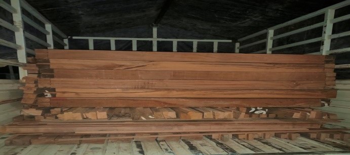 कञ्चनबाट अवैध सालको काठ सहित २ जना नियन्त्रणमा