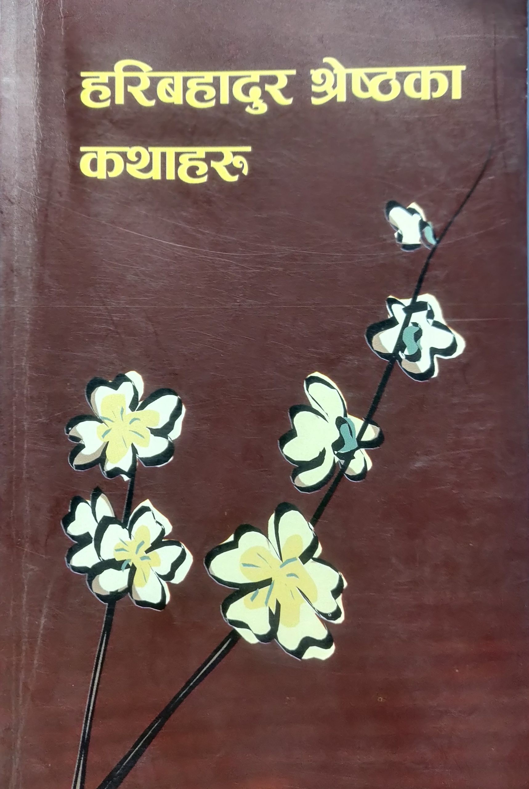 कथा / पेशेवर कार्यकर्ता जनताका आँखाको नानी