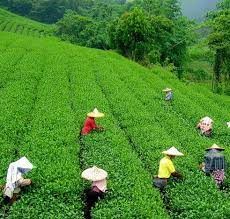 असामको एउटा गाउँ जहाँ सबै जना संस्कृत बोल्छन्