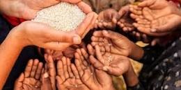 अफगानी नागरिक विश्वकै सबैभन्दा जटिल भोकमरी सङ्कटमा : एफएओ प्रतिवेदन