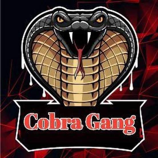 बुटवल १९ का युवाहरुको एक समूहद्वारा कोव्रा नामक समूह गठन