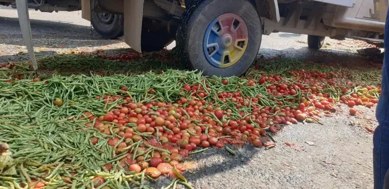 चितवनमा आफुले उत्पादन गरेको तरकारी सडकमा फालेर किसानहरुद्धारा विरोध प्रद्र्धशन