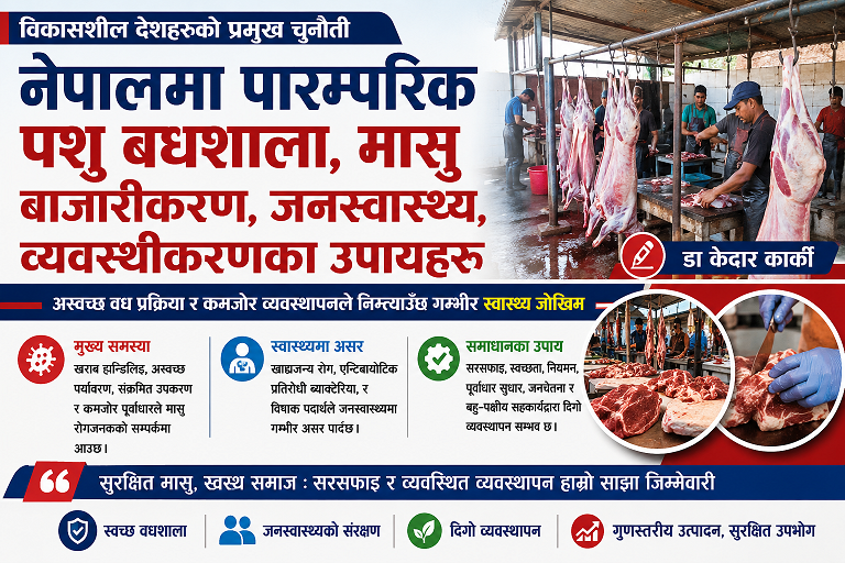 नेपाल मा पारम्परिक पशु बधशाला मासु बाज़ारीकरण ,जनस्वाश्थ , व्यवस्थीकरण का उपायहरु
