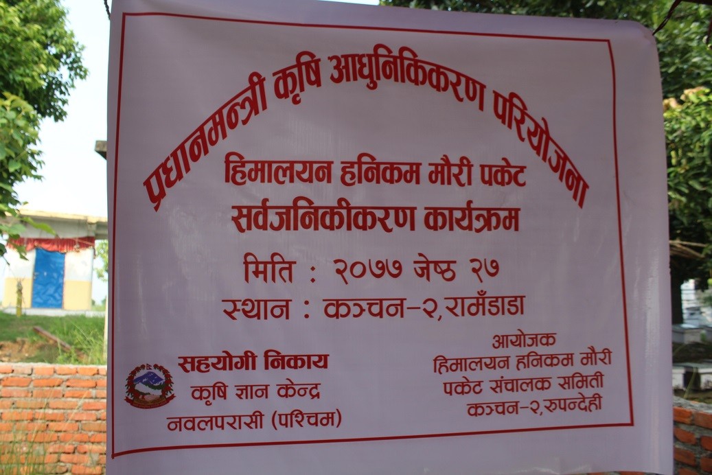 कञ्चनमा प्रधानमन्त्री कृषि आधुनिकरण परियोजना हिमालयन हनिकम मौरी पकेट कार्यक्रम सार्वजनिक