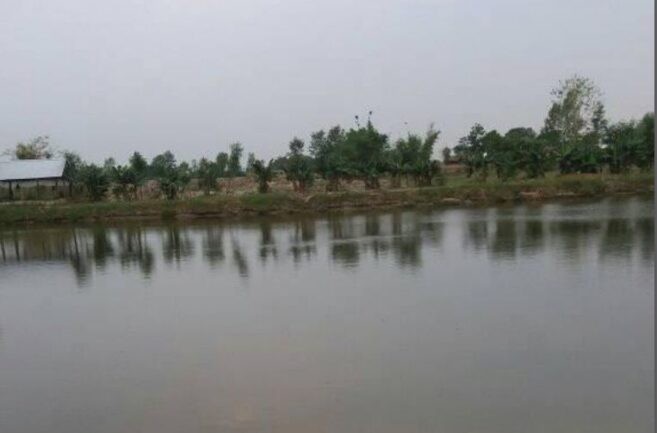 लुम्बिनीमा बिपक्षी दलका सांसदहरु अपहरण हुने डर,माओवादीले राजापानी रिसोर्टमा लुकाउदै