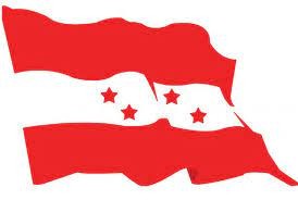नेपाली कांग्रेस,कञ्चन ४ को टोल भेला सम्पन्न