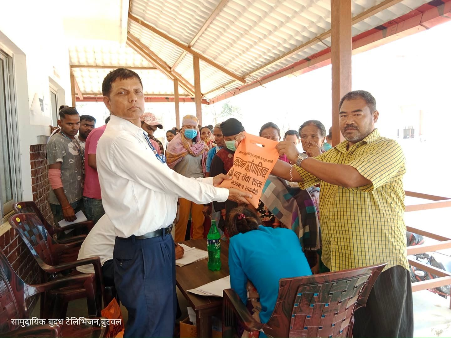 कञ्चनमा किसानहरुलाई निशुल्क घांसको बिउ बितरण