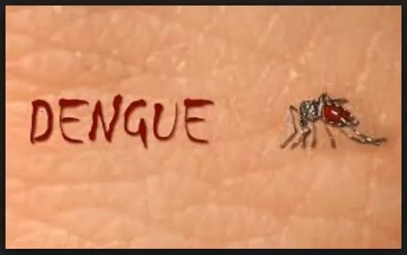 डेंगु संक्रमितको संख्या ३७ हजार १३१ पुग्यो
