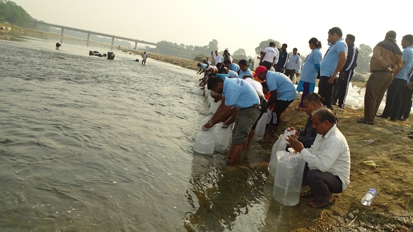 विश्व मत्स्‍य दिवसको अवसरमा दानव नदीमा छाडियो ५० हजार भुरा