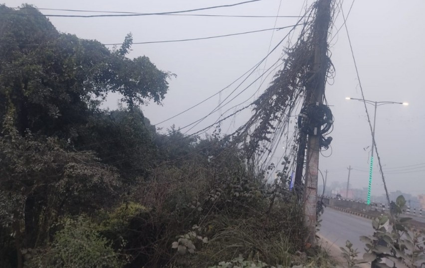 रुपन्देहीको सिद्धार्थनगरका विद्युतीय पोलमा रहेका अव्यवस्थित तार व्यवस्थित गर्न माग