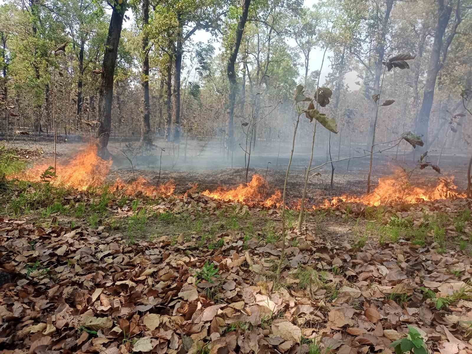 कञ्चनका बिभिन्न स्थानमा आगलागी
