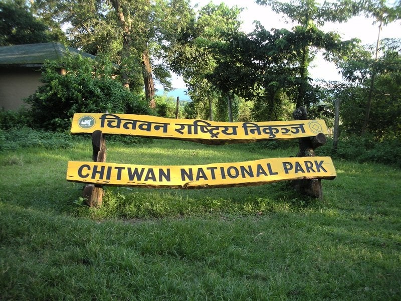 चितवन राष्ट्रिय निकुञ्जमा दुई गैँडा मृत फेला
