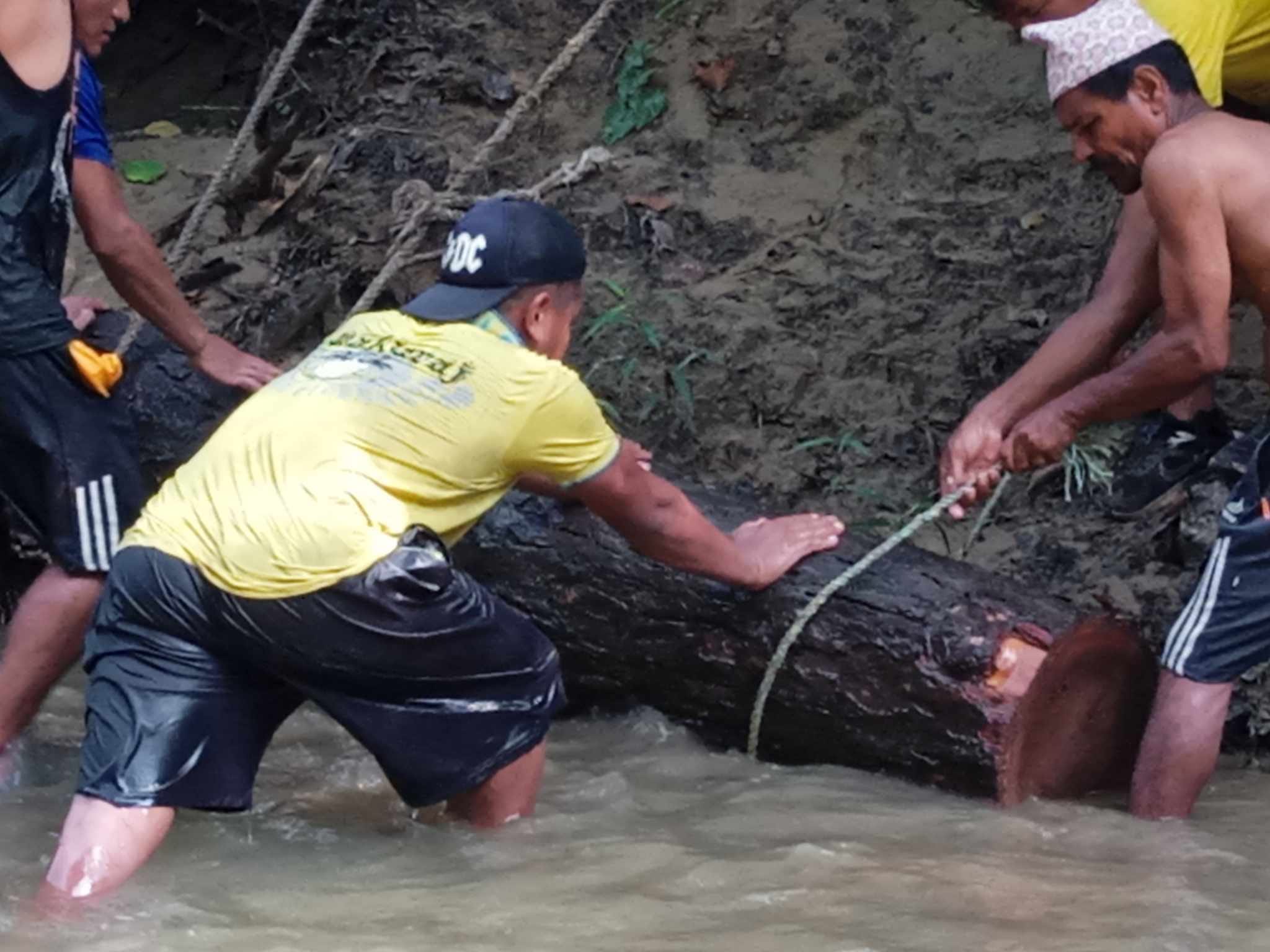 रुद्रपुर सामुदायिक बन उपभोक्ता समूहद्वारा ३१.८४ क्युफिट सालको गोलिया बरामद