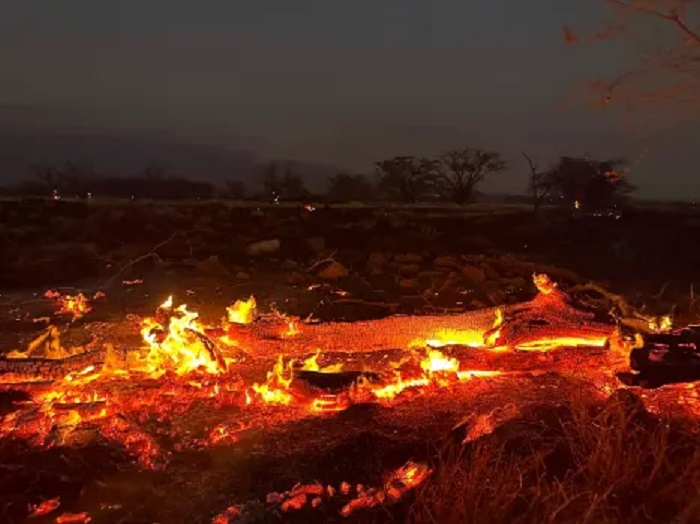 अमेरिकाको हवाईमा इतिहासकै खराब प्राकृतिक प्रकोप : डढेलोमा परि ज्यान गुमाउनेको सङ्ख्या ६७ पुग्यो