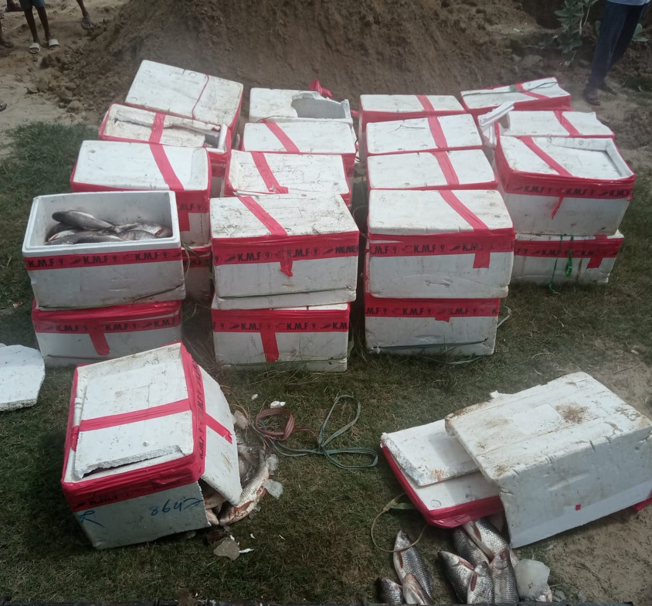 प्रहरीद्वारा अबैध माछा बरामद