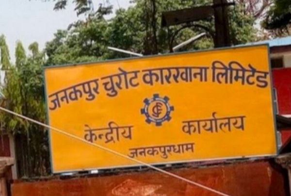 जचुकाली पुनः सञ्चालन नगर्न नेपाल विकास अनुसन्धान प्रतिष्ठानको सरकारलाई आग्रह