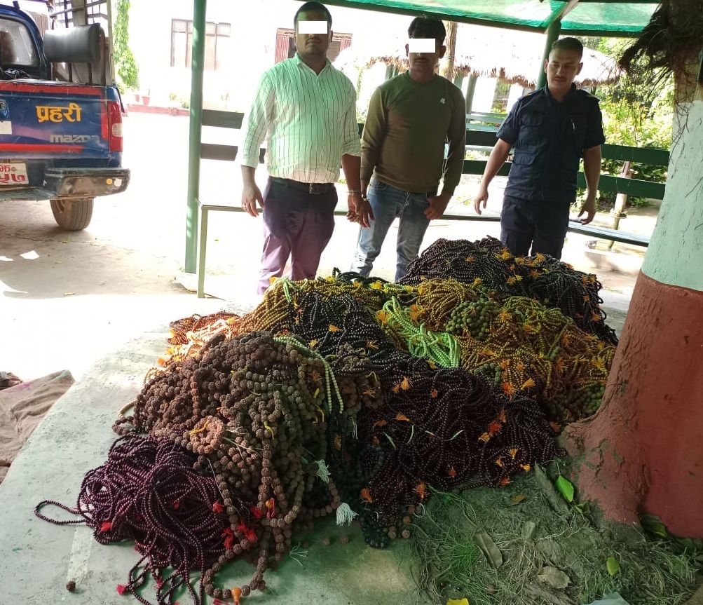 भैरहवाको बेथरीबाट बिभिन्न प्रजातीका अबैध काठका मालाहरु बरामद
