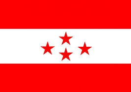 नेपाली कांग्रेस संगठन सुदृढिकरणमा, वाणगंगा ११ मा टोल समितिहरु गठन