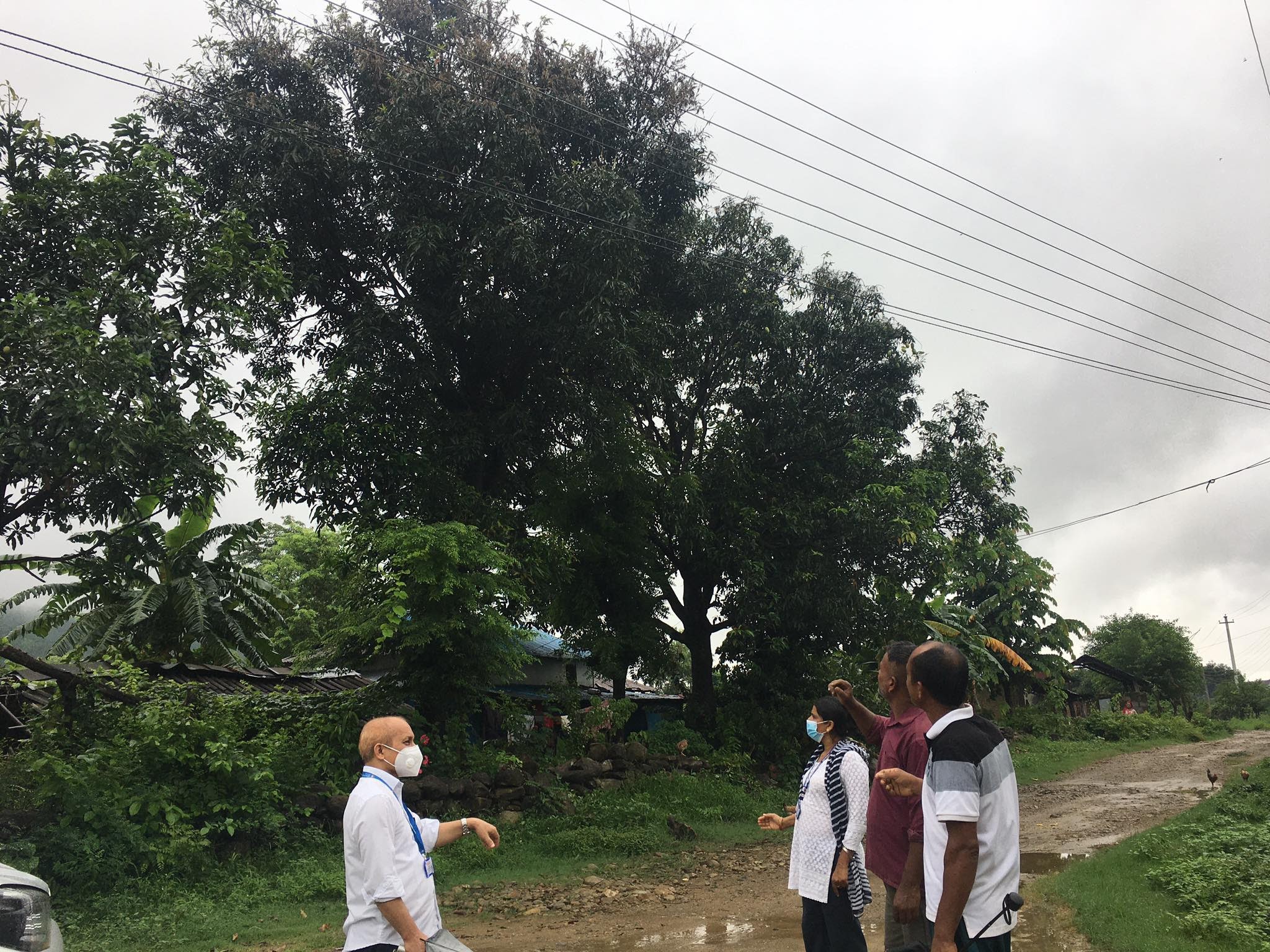 सलह कीरा : सैनामैनामा कृषि विकास निर्देशनालय प्रदेश ५ को अनुगमन