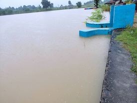 लगतार बर्षाका कारण कञ्चन र गैडहवाका घर बस्ती डुवानमा