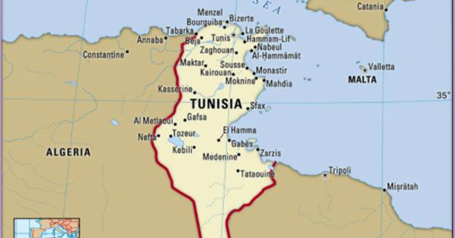 ट्युनिसियामा राष्ट्रपतिको कारबाहीपछि सयौँ आप्रवासीको भागभाग