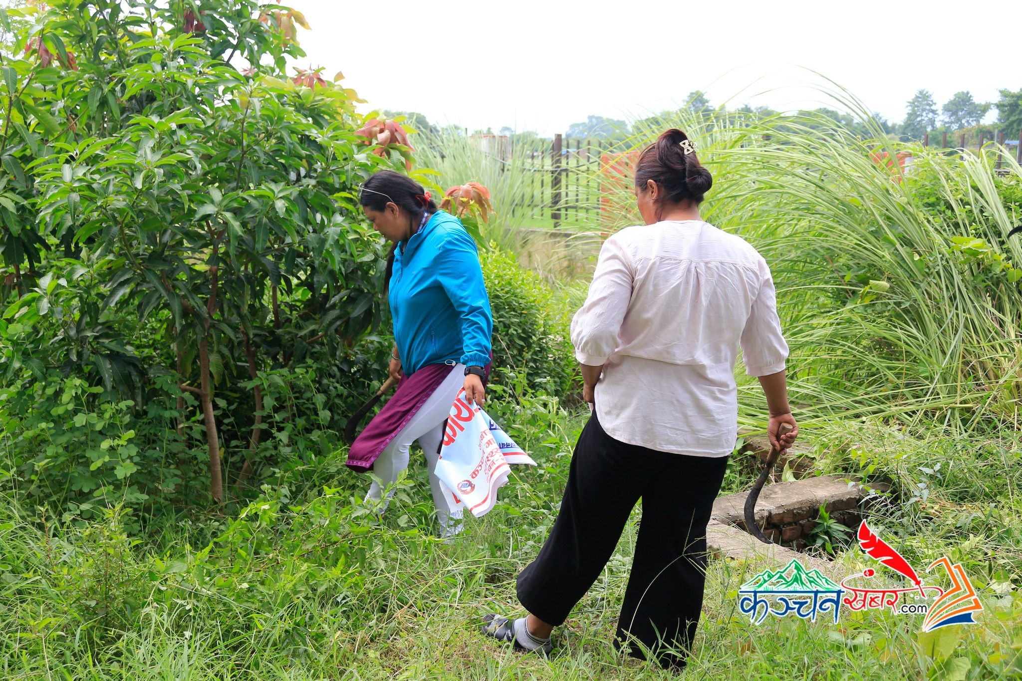कञ्चनमा लामखुट्टेको बासस्थान खोजौं र नस्ट गरौं अभियान सञ्चालन गरिने
