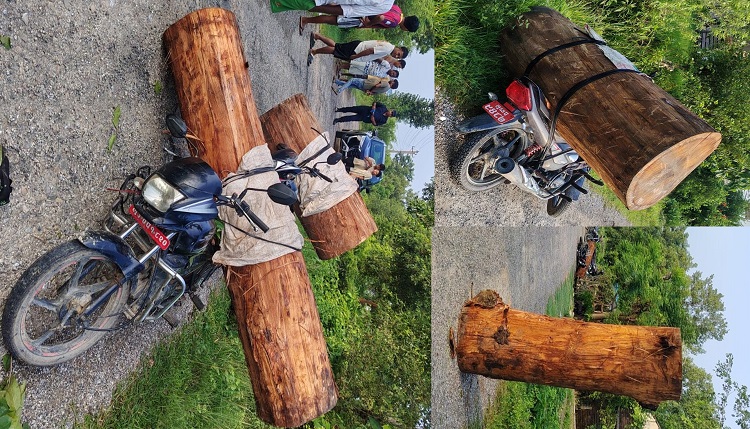 रुपन्देहीको कञ्चनमा सालको काठसहित चार मोटरसाइकल नियन्त्रणमा