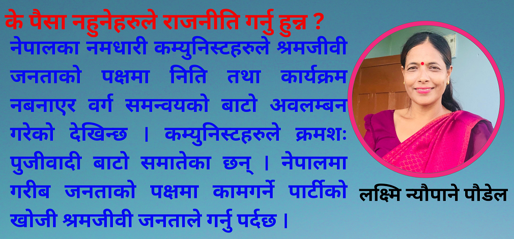 के पैसा नहुनेहरुले राजनीति गर्नु हुन्न ?