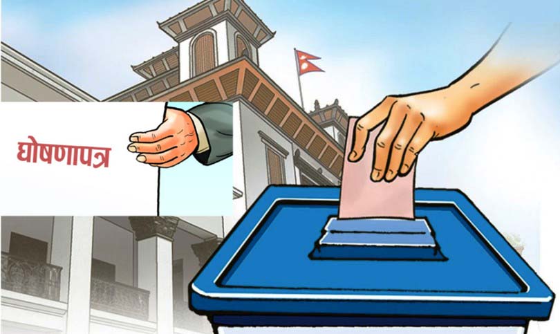 नेमकिपा घोषणापत्र २०४८, २०५१ र २०५६ अध्ययनको सार