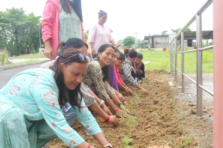 २२ औं निजमती सेवा दिवसको पुर्वसन्ध्यमा कञ्चनमा बृक्षारोपण कार्यक्रम