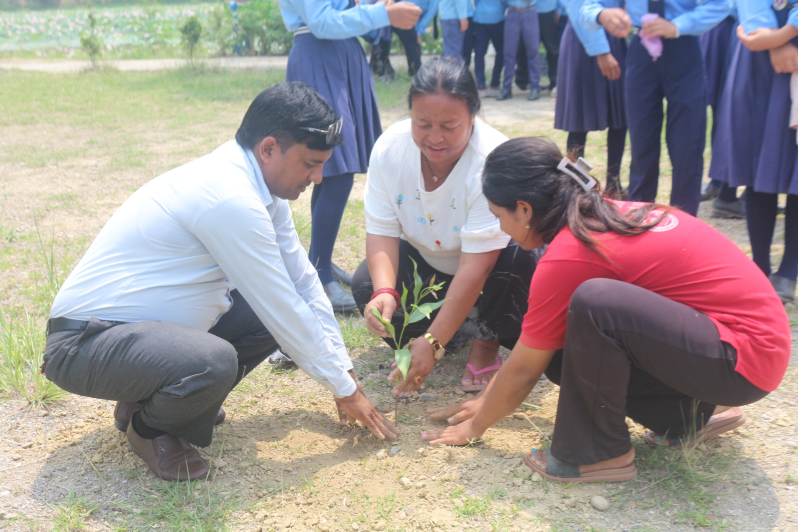 आज विशव वातावरण दिवस : कञ्चनमा बृक्षारोपण तथा सरसफाई